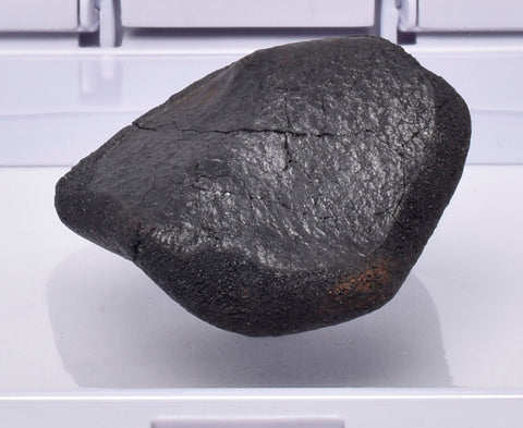 WILUNA METEORITE H5 CHONDRITE, FELL 1967. 18.32 grams, Western Australia MT26