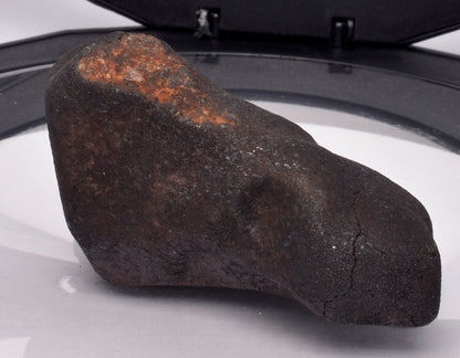 WILUNA METEORITE H5 CHONDRITE, FELL 1967. 86.6 grams, Western Australia MT27