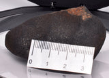 WILUNA METEORITE H5 CHONDRITE, FELL 1967. 86.6 grams, Western Australia MT27