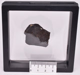 WILUNA METEORITE H5 CHONDRITE, FELL 1967. 35.2 grams, Western Australia MT29