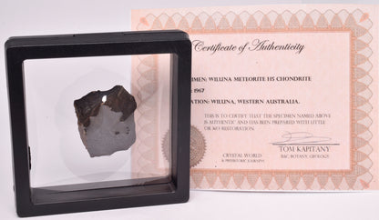 WILUNA METEORITE H5 CHONDRITE, FELL 1967. 35.2 grams, Western Australia MT29