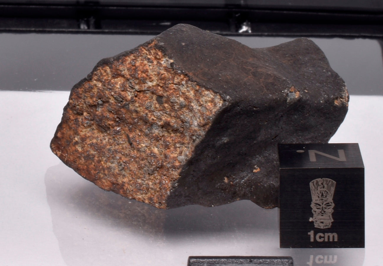 WILUNA METEORITE H5 CHONDRITE, FELL 1967. 35.2 grams, Western Australia MT29