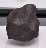 WILUNA METEORITE H5 CHONDRITE, FELL 1967. 35.2 grams, Western Australia MT29