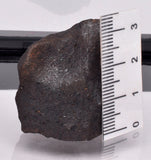 WILUNA METEORITE H5 CHONDRITE, FELL 1967. 35.2 grams, Western Australia MT29