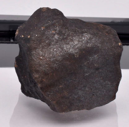 WILUNA METEORITE H5 CHONDRITE, FELL 1967. 35.2 grams, Western Australia MT29