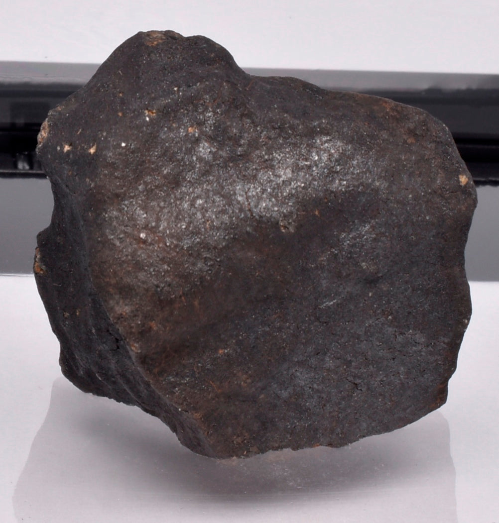 WILUNA METEORITE H5 CHONDRITE, FELL 1967. 35.2 grams, Western Australia MT29