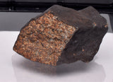 WILUNA METEORITE H5 CHONDRITE, FELL 1967. 35.2 grams, Western Australia MT29