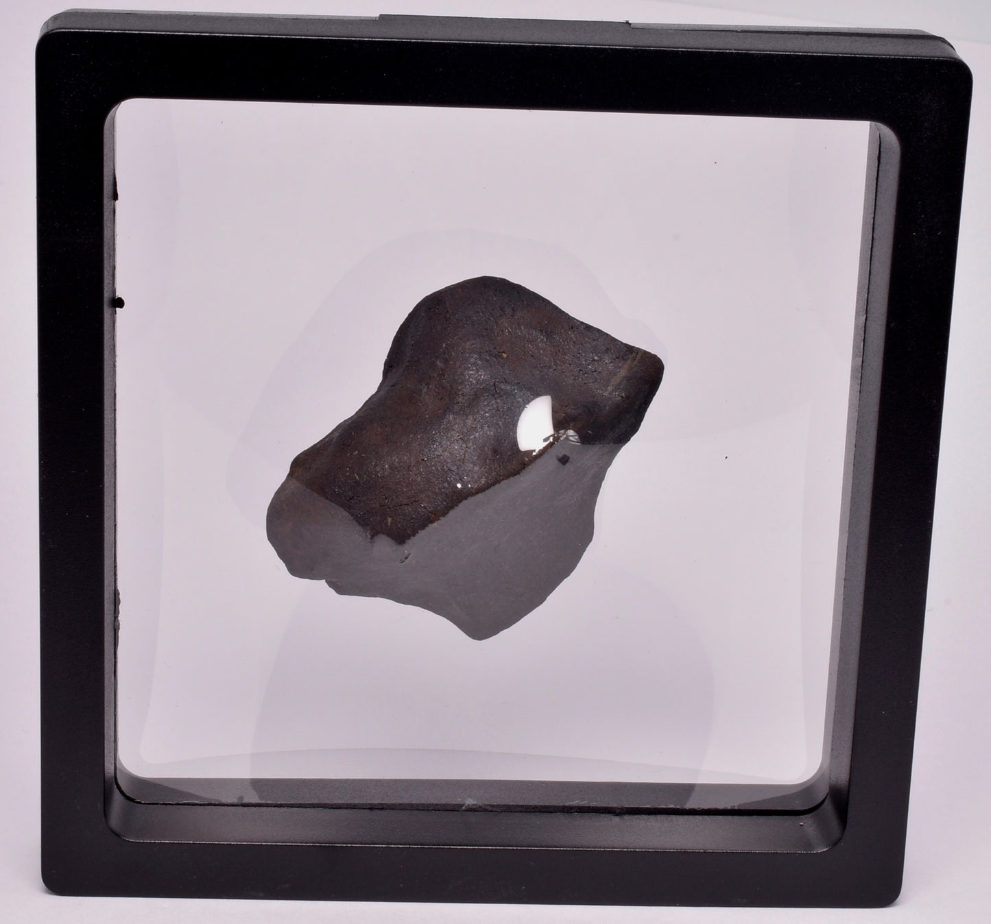 WILUNA METEORITE H5 CHONDRITE, FELL 1967. 71.4 grams, Western Australia MT30