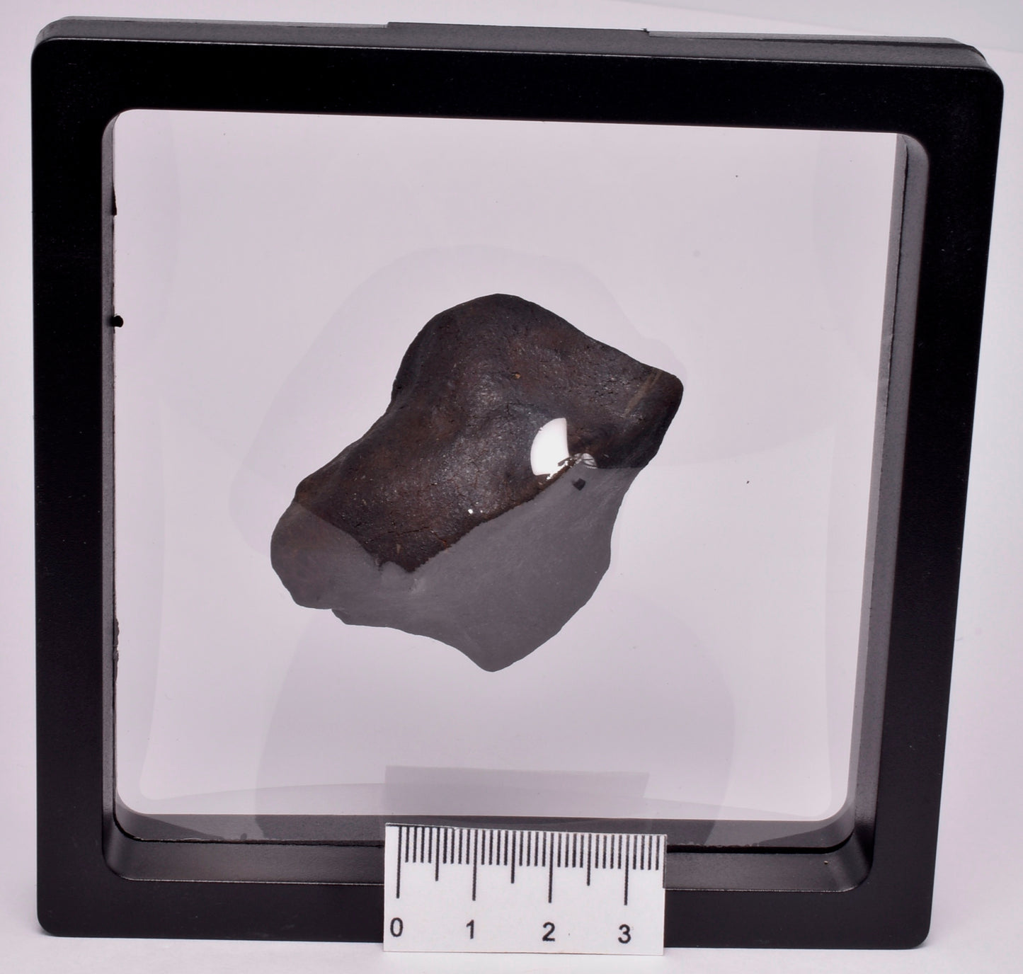 WILUNA METEORITE H5 CHONDRITE, FELL 1967. 71.4 grams, Western Australia MT30