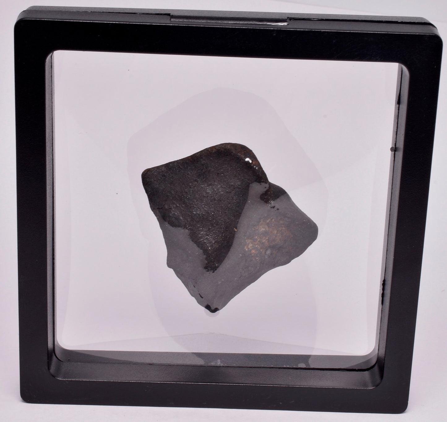 WILUNA METEORITE H5 CHONDRITE, FELL 1967. 71.4 grams, Western Australia MT30