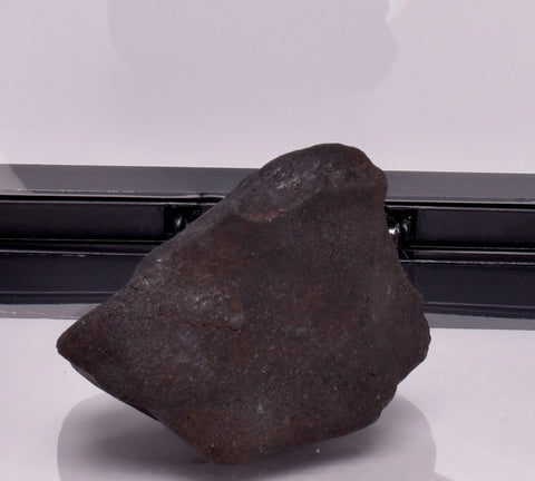 WILUNA METEORITE H5 CHONDRITE, FELL 1967. 71.4 grams, Western Australia MT30