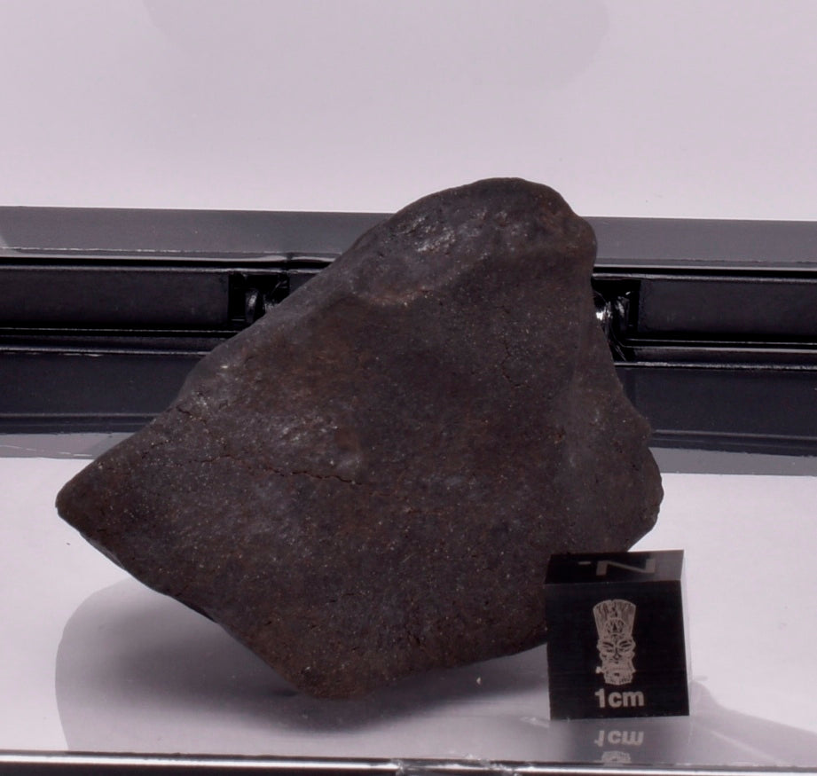 WILUNA METEORITE H5 CHONDRITE, FELL 1967. 71.4 grams, Western Australia MT30