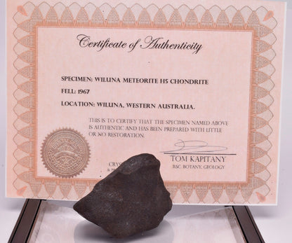 WILUNA METEORITE H5 CHONDRITE, FELL 1967. 71.4 grams, Western Australia MT30