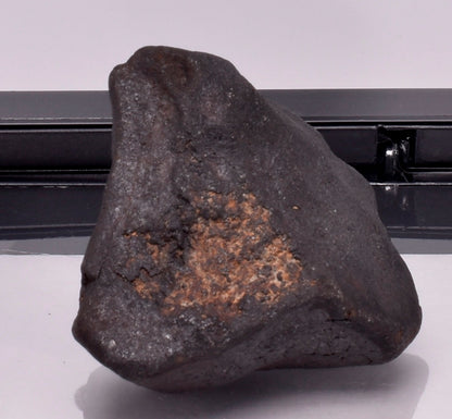 WILUNA METEORITE H5 CHONDRITE, FELL 1967. 71.4 grams, Western Australia MT30