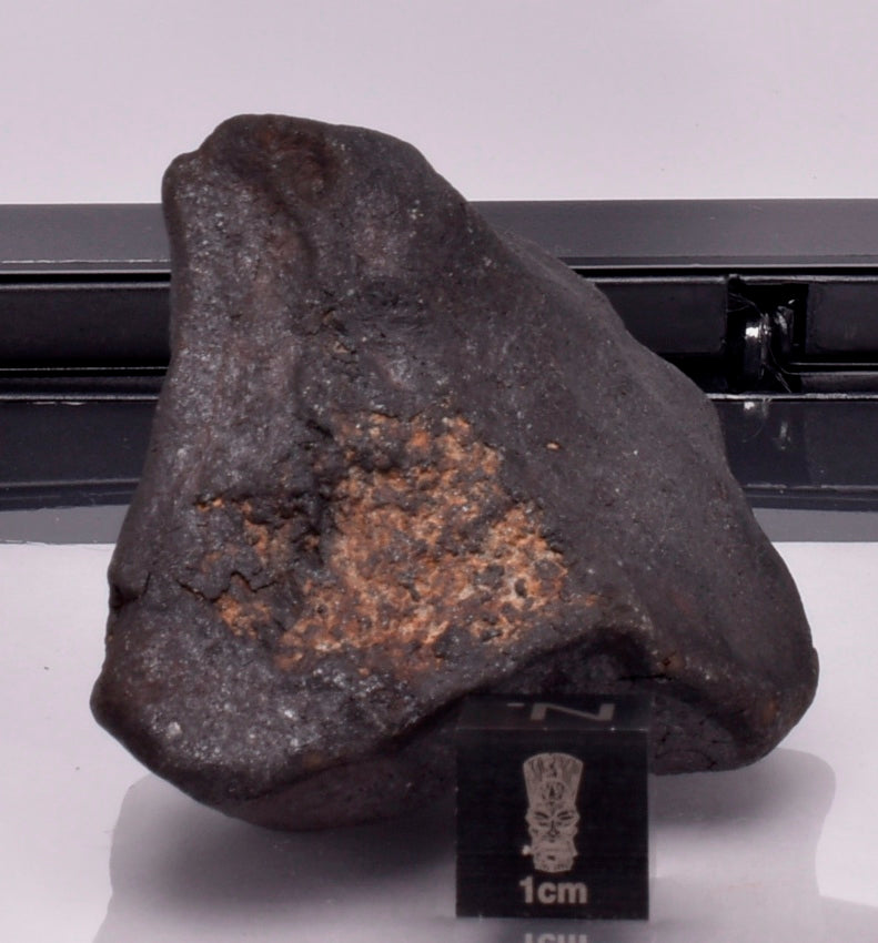 WILUNA METEORITE H5 CHONDRITE, FELL 1967. 71.4 grams, Western Australia MT30