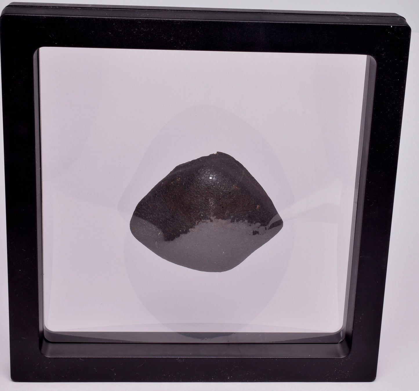 WILUNA METEORITE H5 CHONDRITE, FELL 1967. 118.3 grams, Western Australia MT34