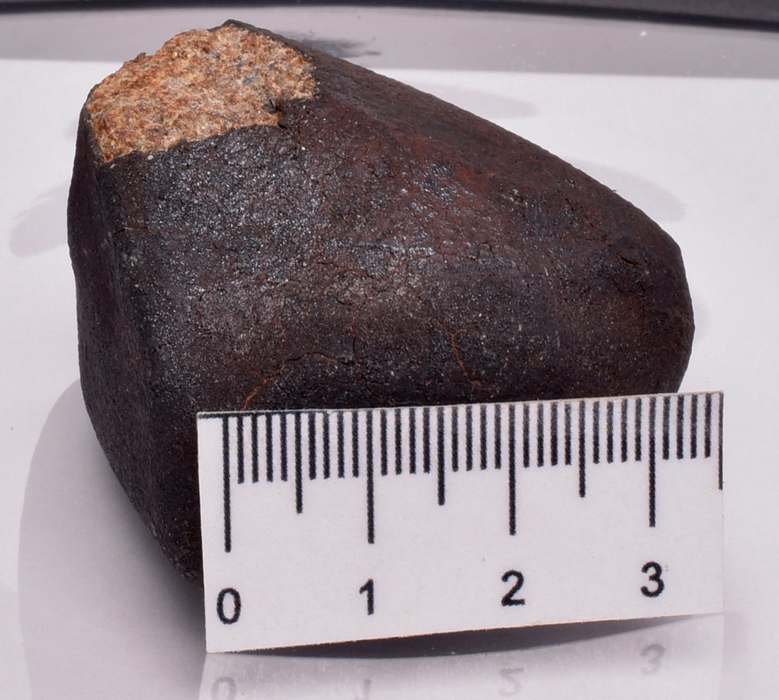 WILUNA METEORITE H5 CHONDRITE, FELL 1967. 118.3 grams, Western Australia MT34