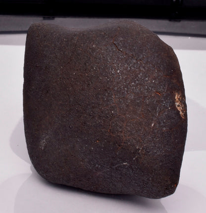 WILUNA METEORITE H5 CHONDRITE, FELL 1967. 118.3 grams, Western Australia MT34