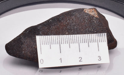 WILUNA METEORITE H5 CHONDRITE, FELL 1967. 50.8 grams, Western Australia MT38