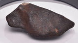 WILUNA METEORITE H5 CHONDRITE, FELL 1967. 50.8 grams, Western Australia MT38