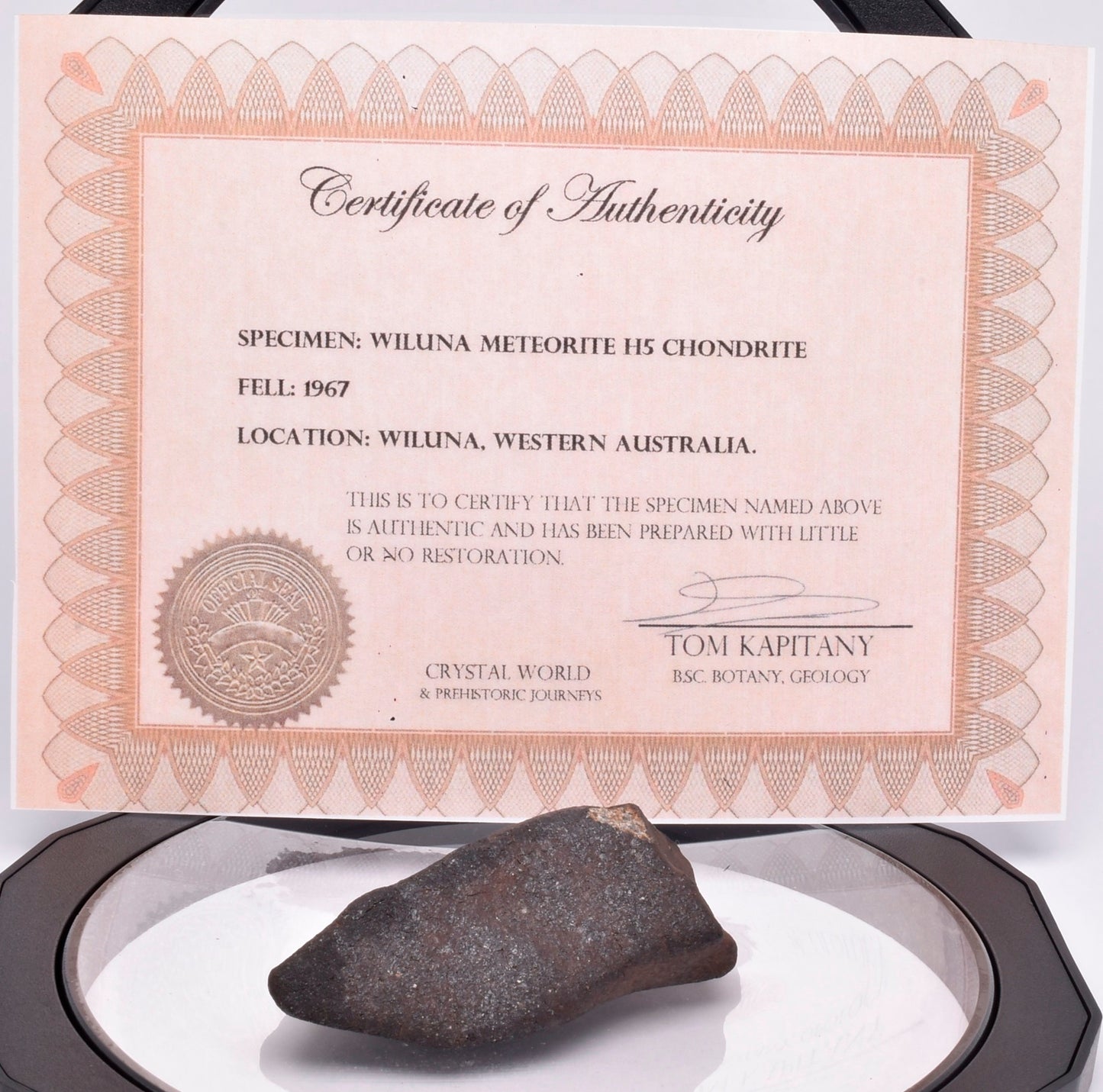 WILUNA METEORITE H5 CHONDRITE, FELL 1967. 50.8 grams, Western Australia MT38