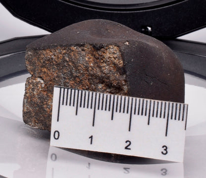 WILUNA METEORITE H5 CHONDRITE, FELL 1967. 80.6 grams, Western Australia MT47