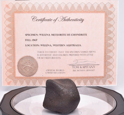 WILUNA METEORITE H5 CHONDRITE, FELL 1967. 80.6 grams, Western Australia MT47