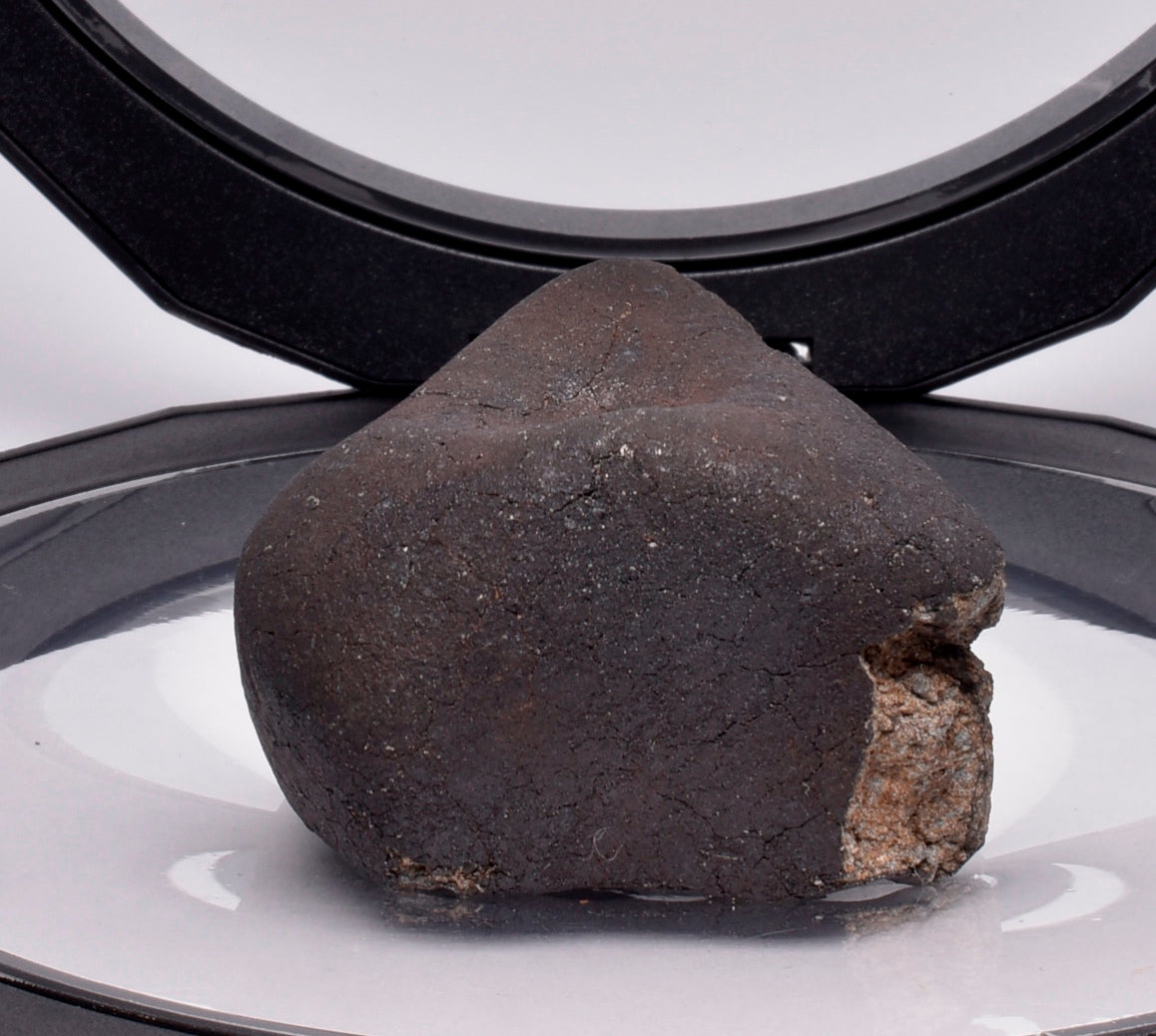 WILUNA METEORITE H5 CHONDRITE, FELL 1967. 80.6 grams, Western Australia MT47