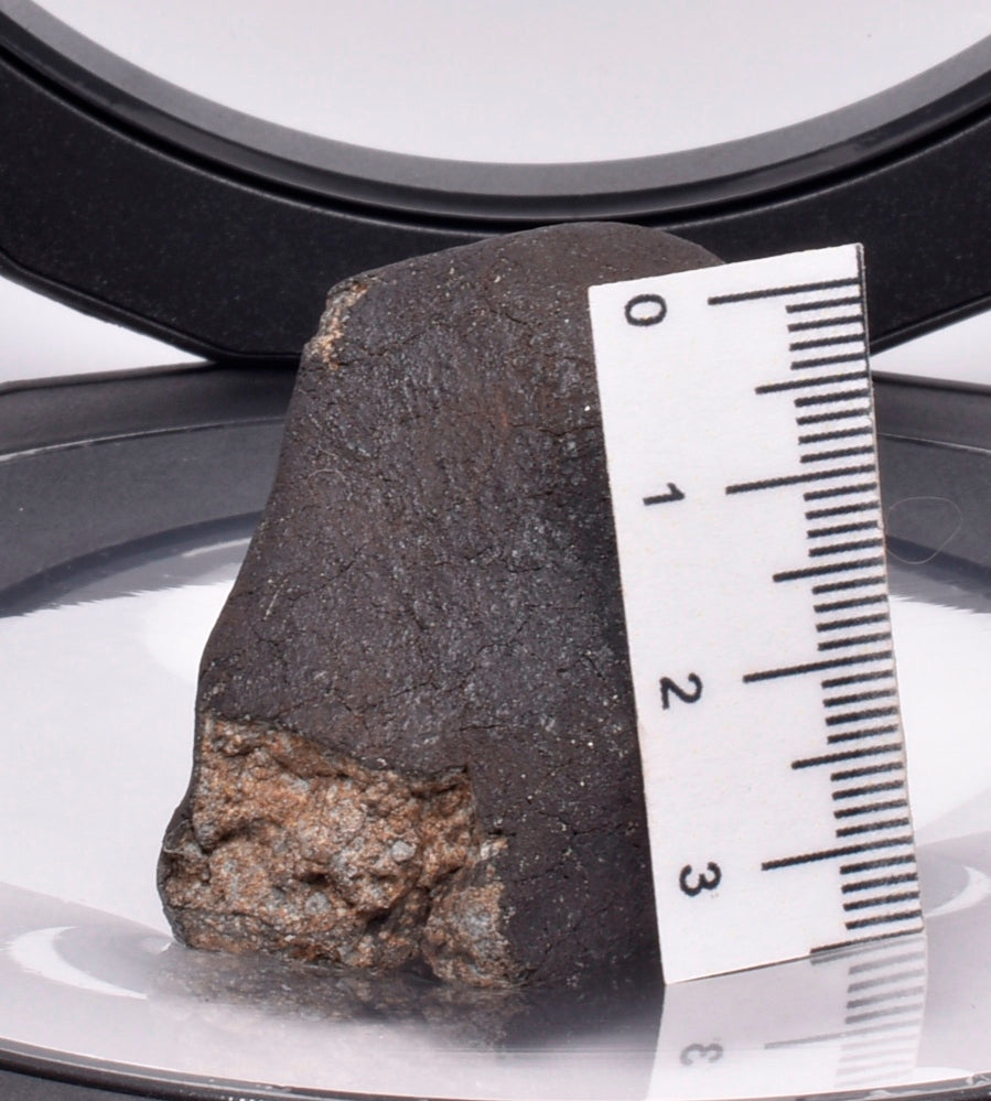 WILUNA METEORITE H5 CHONDRITE, FELL 1967. 80.6 grams, Western Australia MT47