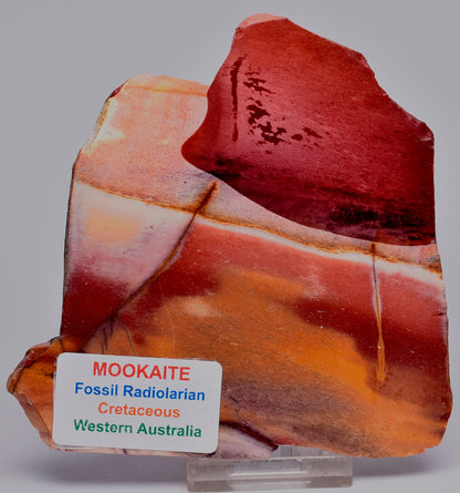 MOOKAITE Polished Slice, FOSSIL RADIOLARIAN Western Australia S512