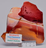 MOOKAITE Polished Slice, FOSSIL RADIOLARIAN Western Australia S512