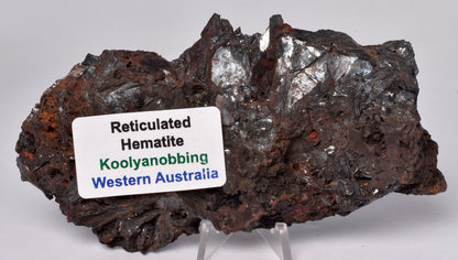 RETICULATED HEMATITE, Koolyanobbing, Western Australia S1021