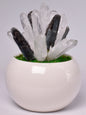 CLEAR QUARTZ POINTS with KYANITE in POT P939