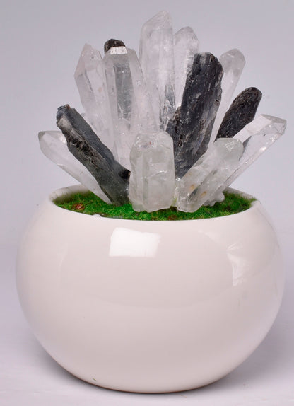 CLEAR QUARTZ POINTS with KYANITE in POT P939