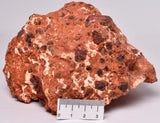 BAUXITE, Aluminium Hydroxide, Rough Natura,l Australia R48