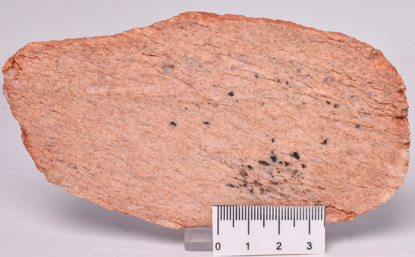 ZIRCON, Metaconglomerate Narryer Gneiss Slice, Jack Hills, Australia S756