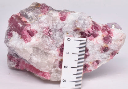 PINK TOURMALINE with AMETHYST TREE P831