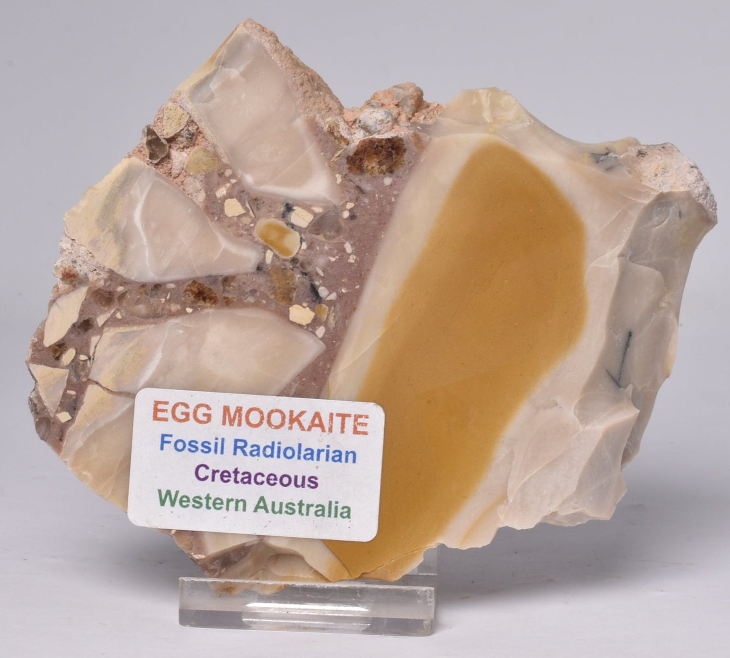 EGG MOOKAITE JASPER SLICE, 160 grams, Cretaceous, Australia S760