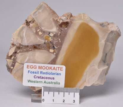 EGG MOOKAITE JASPER SLICE, 160 grams, Cretaceous, Australia S760