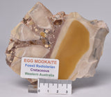 EGG MOOKAITE JASPER SLICE, 160 grams, Cretaceous, Australia S760