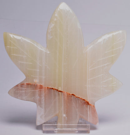 GREEN ONYX TRAVERTINE LEAF P604