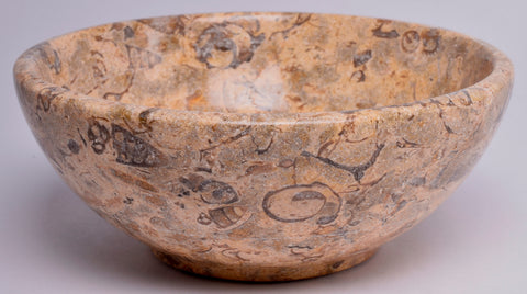 FOSSIL CORAL CARVED BOWL SE15