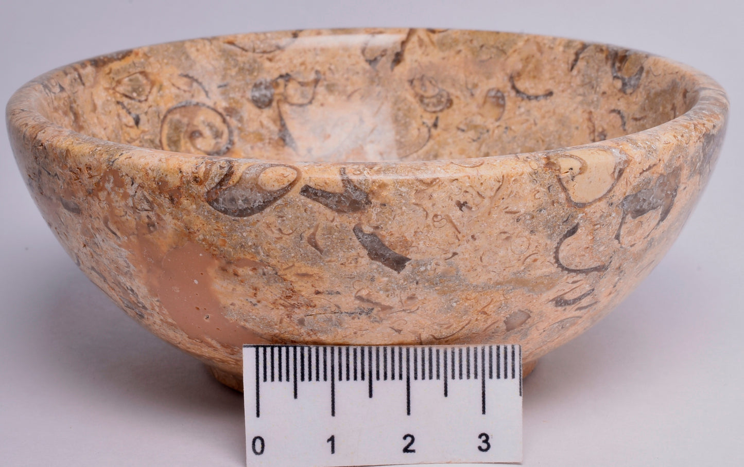 FOSSIL CORAL CARVED BOWL SE15