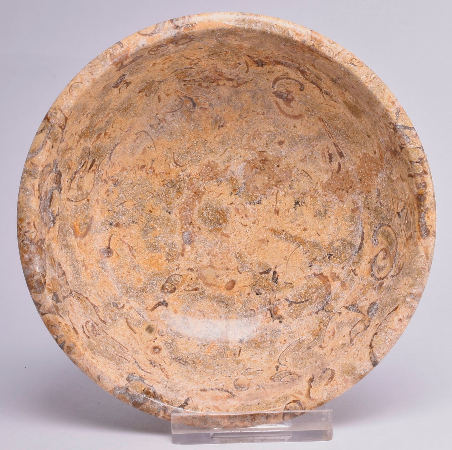 FOSSIL CORAL CARVED BOWL SE15