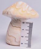 ARAGONITE MUSHROOM CARVING P616