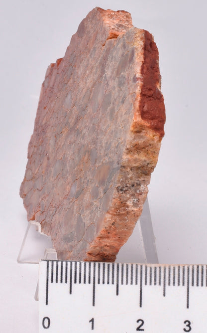 ZIRCON, Metaconglomerate Narryer Gneiss Slice, Jack Hills, Australia S1313