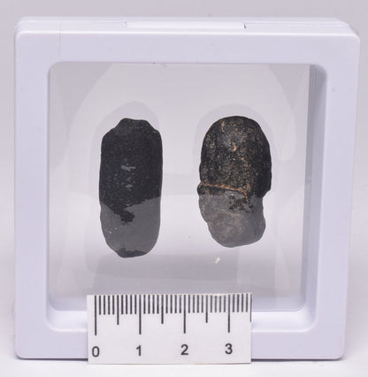 2 x AUSTRALITE, METEORITE FROM SOUTH AUSTRALIA MT83