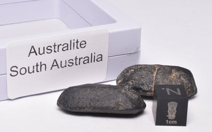 2 x AUSTRALITE, METEORITE FROM SOUTH AUSTRALIA MT83