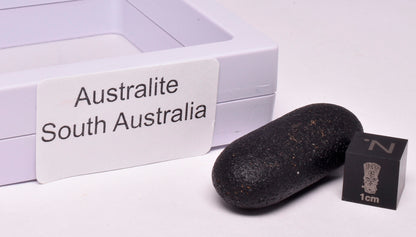 AUSTRALITE, METEORITE FROM SOUTH AUSTRALIA MT92