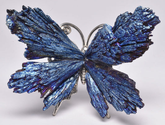 TITANIUM AURA KYANITE BUTTERFLY P184